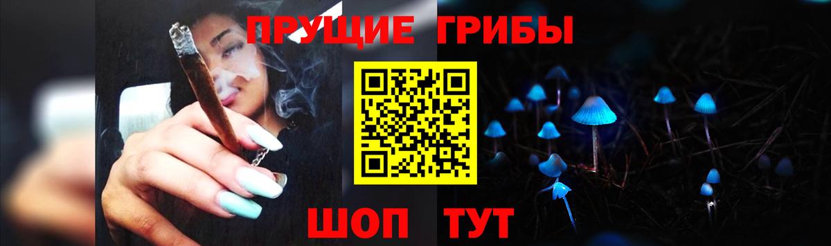 Боровичи  Галлюциногенные грибы Psilocybine cubensis  Вход с VPN  Галлюциногенные грибы Psilocybe 